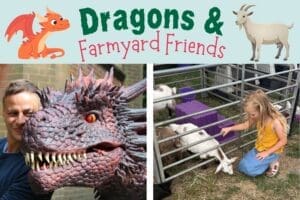 dragons and farmyard friends thumbnail 2026
